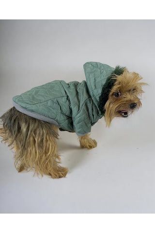 Kemique Green Comfy Köpek Montu Ceketi Köpek Dış Giyim