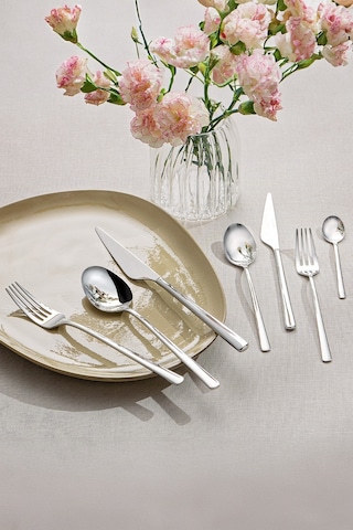 Emsan Ladin 84 Parça 12 Kişilik Çatal Kaşık Bıçak Seti Kutulu Gümüş