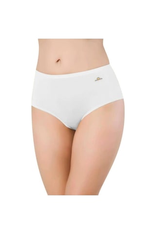 Papatya 1851 Kadın Yüksek Bel Modal Külot 12 Adet 001