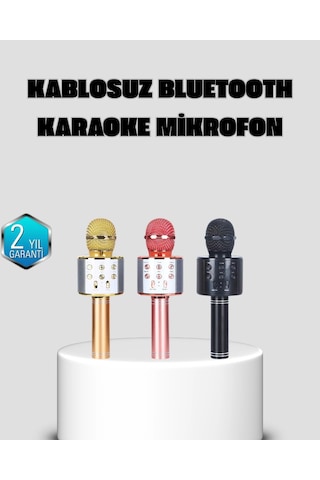 Taşınabilir Karaoke Mikrofon Bluetooth, Usb Ve Aux Girişli