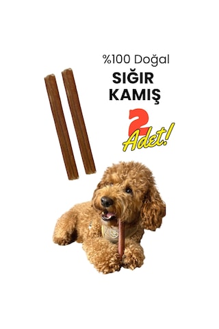Havhav 2 Adet Sığır Kamış Çiğneme Çubuğu Köpek Ödülü
