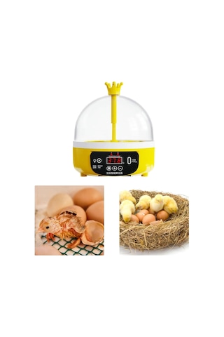 Qf Dijital Yumurta Kuluçka Makinesi Kanatlı Kuluçka Makinesi 4