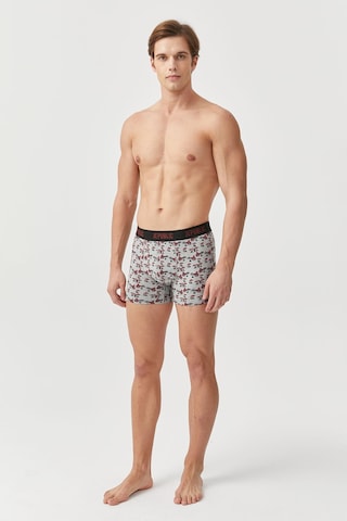 Jepublic Erkek Boxer-j232502 Gri