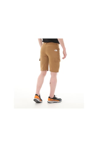 The North Face F0a824d1731-r M Horızon Short - Eu Erkek Şort ve Kapri Kahve 001