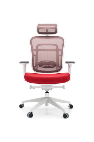 Passion Oyuncu Ofis Yönetici Çalışma Makam Koltuğu