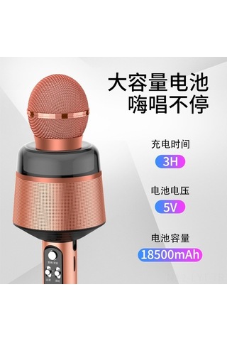 Fortunelane Modelleri Q008, Renkli Işık Ve Ses Efektli Kablosuz Bluetooth Mikrofon, Taşınabilir Ktv Deneyimi