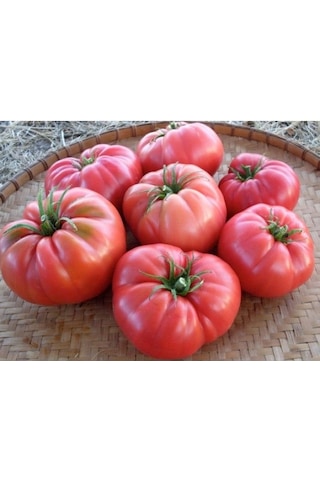 Köy Domatesi Yetiştirme Seti 150-200 Tohum, Saksı, Toprak Karış