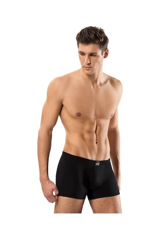 Erdem Erkek Boxer Pamuk Elastan 1420