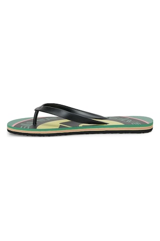 Quiksilver Molokaı Screen Yeşil Erkek Sandalet