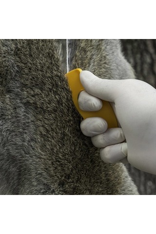 Smıths Dısposable Gut Hooks Kanca