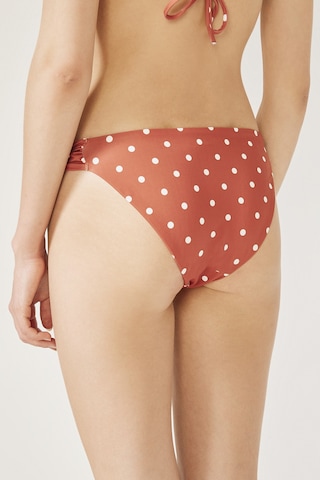 Penti Palmaria Side Bikini Altı