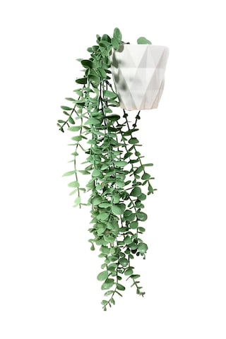 Yapay Çiçek Midi Beyaz Saksılı Yeşil Okaliptus Sarkıtı