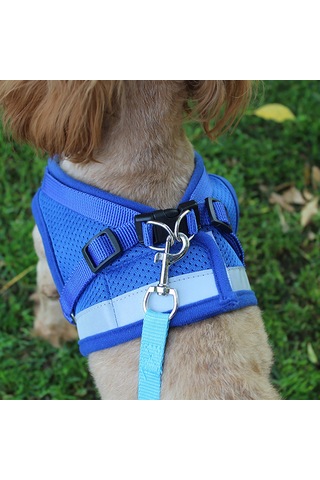 Geeroyoo Reflektif Poliester Köpek Yeleği, 1.2m Tasma İpi, Gümüş Gri, M Boyut, Güvenli Ve Konforlu Pet Aksesuarı Gri