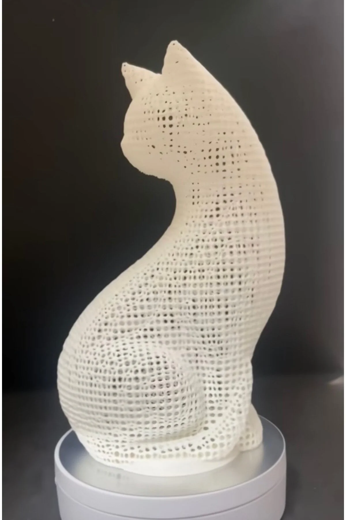 Printlab3d-ışıklı Pati Silueti Gece Lambası Beyaz