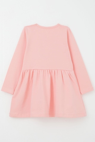 Breeze Kız Çocuk Uzun Kollu Elbise Renkli Çiçek Nakışlı 1.5-5 Yaş, Pembe Pembe