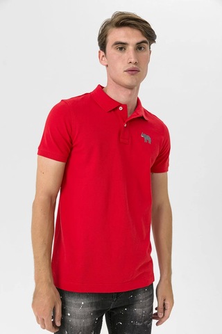 Farm Animals Polo Yaka Fil Nakış Detaylı Erkek T-Shirt Kırmızı