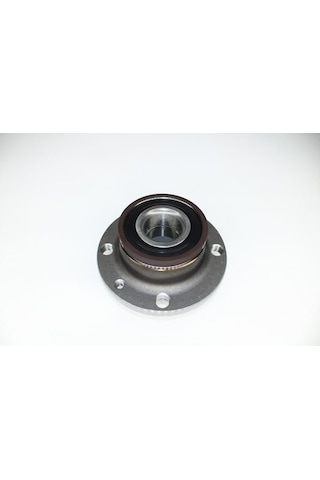 Arka Teker Poryası Rulmanlı Doblo-tempra-marea-palıo-sıena-punto-fıorıno-lınea Abs Li 30x117x61.7-183203