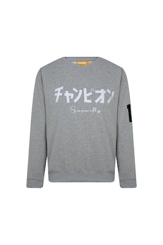 Superfly MEN SWEAT-1 Gri Erkek Sweatshirt Gri