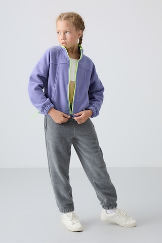 Tommy Life Eflatun Kalın Yumuşak Dokulu Standart Fit Nakışlı Polar Kız Çocuk Sweatshirt - 75157 Eflatun