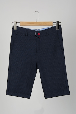 Terapi Men Erkek Koyu Mavi Slim Fit Keten Şort Çokrenkli2