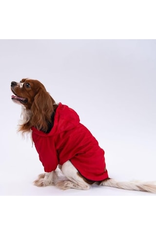 Adonis Kırmızı Mont Köpek Mont Köpek Kıyafeti Köpek Yağmurluğu Küçük-büyük Irklar Xl Açık Gri