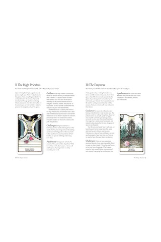 Elemental Power Tarot: Includes A Full Deck Of 78 Cards And A 64-page İllustrated Book