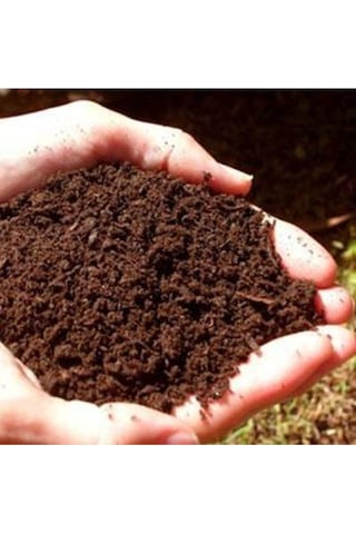 Kaliteli Saksı Yükseklik 16,5 X14 Kalteli Saksı 2 Adet Saksı + 1 Litre 1 Kalite Çiçek Toprağı