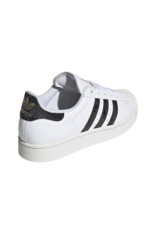 Adidas Superstar Iı Kadın Günlük Spor Ayakkabı C-adıjp8162b10a00 Beyaz