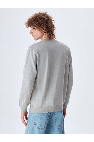 Ltb Gri Sweatshırt 011248616461222_203 001