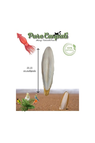 Purecanpati Xxl Kalamar Kemiği İri Boy 20-25 Cm Aralığında