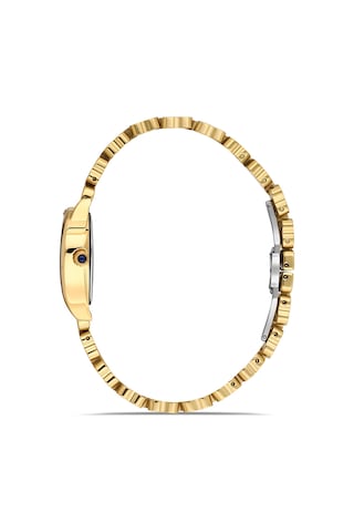 Ferro Fl88211a-b Quartz Çelik Sarı Gri Kadran 24 Mm Kadın Kol Saati