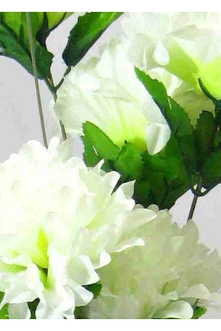 Uzun Fil Ayağı 40 Cm Akrilik Beyaz Vazo Beyaz Çiçek