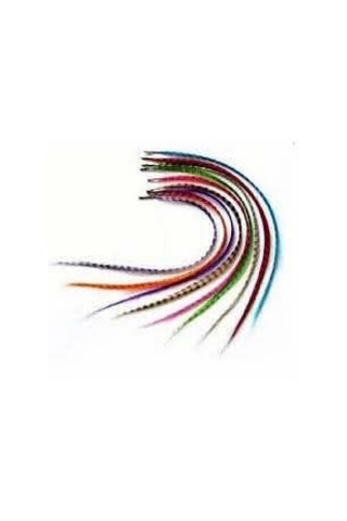 Hair Feather Saç Tüyü - Asorti Çok Renkli