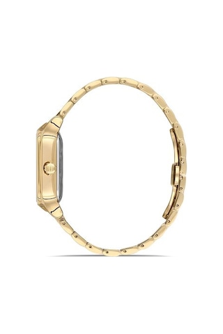 Sd166g-02sg Hislon Kol Saati 40 Mm / Gold Gri
