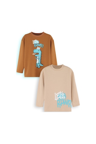 Denokids Let's Rawr Erkek Çocuk 2'li Paket T-shirt Renkli