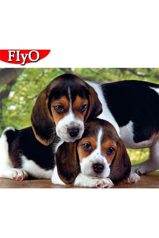 Koyu Pembe 5d Elmas Boyama Tam Matkap Kare Çapraz Dikiş Dıy Elmas Nakış Boncuk Resim Kitleri Hayvanlar Ev Dekor 30x40cm