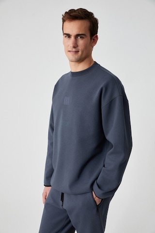 PLEMON Erkek Bisiklet Yaka Uzun Kol Baskı Detaylı Oversize Gri Sweatshirt