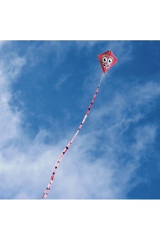 Naylon Elmas Uçurtma - Gülenyüz