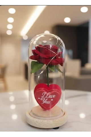 Işıklı Kalpli Güllü Özel Cam Fanus Seni Seviyorum Yazılı Ledli 17 Cm Kırmızı