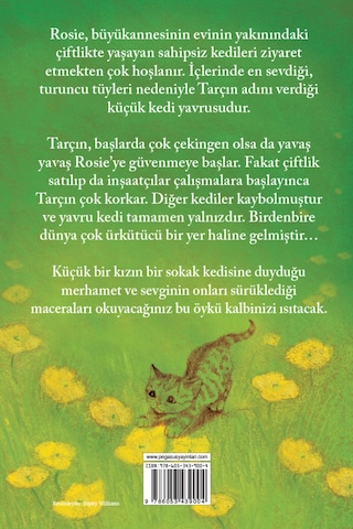 Sokak Kedisi Tarçın