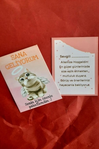Melek Kedili 100 Adet Tebrik Kartı - Sana Geliyorum Teşekkür Kart