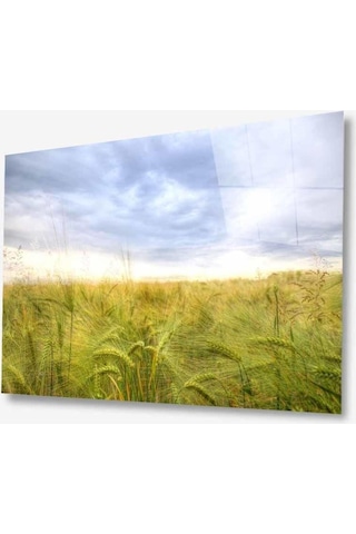 Doğa Cam Tablo 4mm Dayanıklı Temperli Cam670