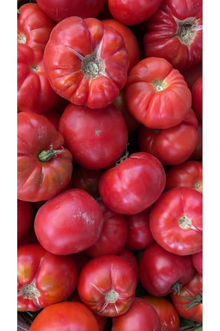 Expres Tohumculuk Tarla Domates Tohumu Yerli Domates Tohumu 100 Adet Tohum