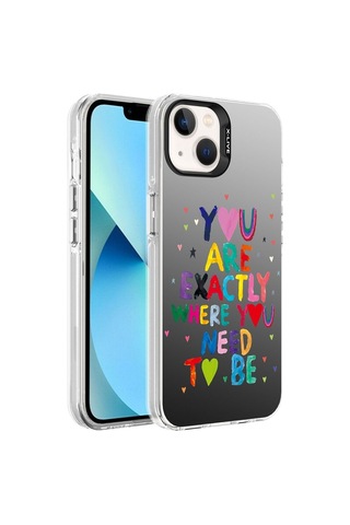 Apple Uyumlu iPhone 14 Pro Max Kılıf Desenli Zore Silver Sert Kapak You