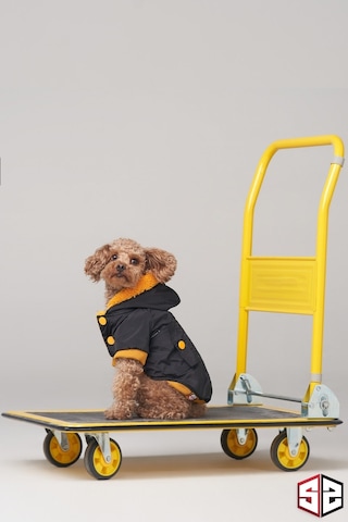 Köpek Kıyafeti - Su Geçirmez Köpek Montu, Köpek Yağmurluğu Siyah