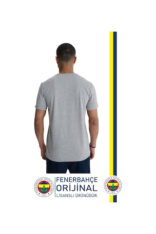 Fenerium Fenerbahçe Orijinal Lisanslı 6 Renk Logo Gri Tribün T-shirt Kişiye Özel Hediyelik Ahşap Kutulu Gri