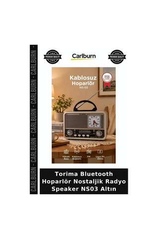 Özel Seri Torima Bluetooth Hoparlör Nostaljik Radyo Speaker Ns03 Altın Dijital Cihaz Klasik