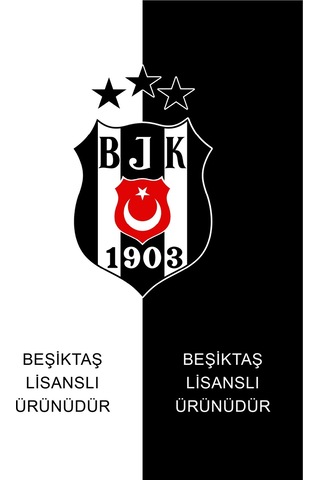 Beşiktaş Orijinal Lisanslı Yavru Kartal Çocuk Eşofman Altı Gri