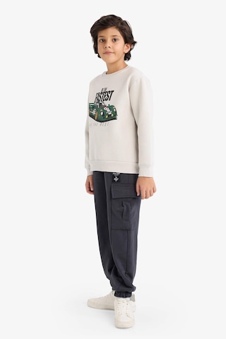 Defacto Erkek Çocuk Bisiklet Yaka Baskılı İçi Yumuşak Tüylü Sweatshirt G5543a825cwgr492 Gri-gr492