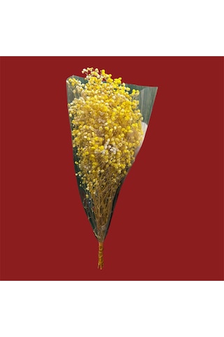 Şoklanmış Kurutulmuş Cipso Çiçeği 1 Demet 50-60gr - 35-45cm Sarı